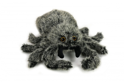 Tarantel, große schwarze Spinne